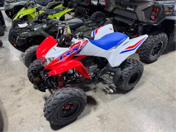 New 2025 Honda TRX250X