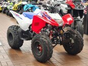 New 2025 Honda TRX250X