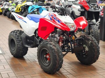 New 2025 Honda TRX250X