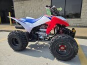 New 2025 Honda TRX250X