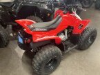 Thumbnail Photo 2 for New 2025 Honda TRX90X