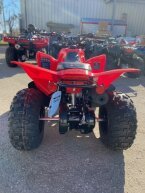 Thumbnail Photo 2 for New 2025 Honda TRX90X