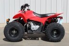 Thumbnail Photo 1 for New 2025 Honda TRX90X