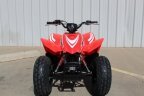 Thumbnail Photo 6 for New 2025 Honda TRX90X