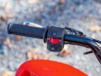 Thumbnail Photo 2 for New 2025 Honda TRX90X