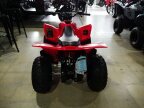 Thumbnail Photo 2 for New 2025 Honda TRX90X