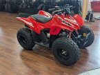 Thumbnail Photo 5 for New 2025 Honda TRX90X