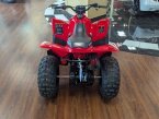 Thumbnail Photo 3 for New 2025 Honda TRX90X