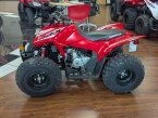 Thumbnail Photo 1 for New 2025 Honda TRX90X