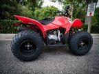Thumbnail Photo 4 for New 2025 Honda TRX90X