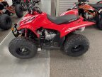 Thumbnail Photo 2 for New 2025 Honda TRX90X