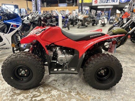 Photo 1 for New 2025 Honda TRX90X