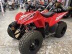 Thumbnail Photo 2 for New 2025 Honda TRX90X