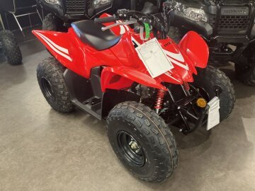 New 2025 Honda TRX90X