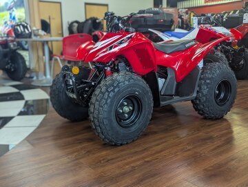 New 2025 Honda TRX90X