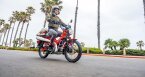 Thumbnail Photo 1 for New 2025 Honda Trail 125
