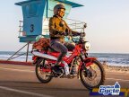 Thumbnail Photo 3 for New 2025 Honda Trail 125