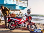 Thumbnail Photo 5 for New 2025 Honda Trail 125