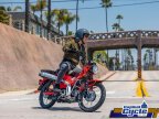 Thumbnail Photo 6 for New 2025 Honda Trail 125