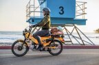 Thumbnail Photo 3 for New 2025 Honda Trail 125