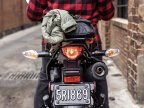 Thumbnail Photo 3 for New 2025 Honda XR150L