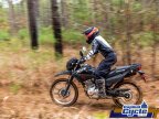 Thumbnail Photo 4 for New 2025 Honda XR150L