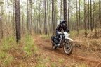 Thumbnail Photo 6 for New 2025 Honda XR150L