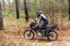 Thumbnail Photo 3 for New 2025 Honda XR150L