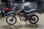 Thumbnail Photo 5 for New 2025 Honda XR150L