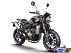 Thumbnail Photo 4 for New 2025 Husqvarna Svartpilen