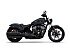 New 2025 Indian Chief