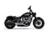 New 2025 Indian Chief
