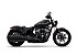 New 2025 Indian Chief Dark Horse ABS