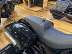 Thumbnail Photo 2 for New 2025 Indian Chieftain