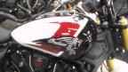 Thumbnail Photo 5 for New 2025 Indian Scout 101 Scout