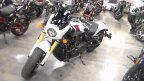 Thumbnail Photo 2 for New 2025 Indian Scout 101 Scout