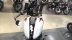 Thumbnail Photo 4 for New 2025 Indian Scout 101 Scout