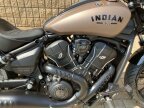 Thumbnail Photo 1 for New 2025 Indian Scout