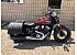 New 2025 Indian Scout