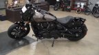 Thumbnail Photo 1 for New 2025 Indian Scout Limited + Tech
