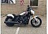 New 2025 Indian Scout