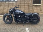 Thumbnail Photo 1 for New 2025 Indian Scout