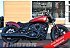 New 2025 Indian Scout