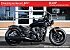 New 2025 Indian Scout