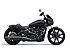New 2025 Indian Scout