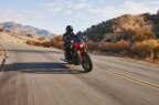 Thumbnail Photo 4 for New 2025 Indian Scout 101 Scout