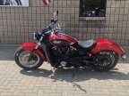Thumbnail Photo 1 for New 2025 Indian Scout