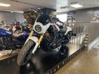 Thumbnail Photo 2 for New 2025 Indian Scout 101 Scout