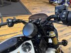Thumbnail Photo 3 for New 2025 Indian Scout 101 Scout