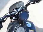 Thumbnail Photo 5 for 2025 Indian Scout Limited + Tech